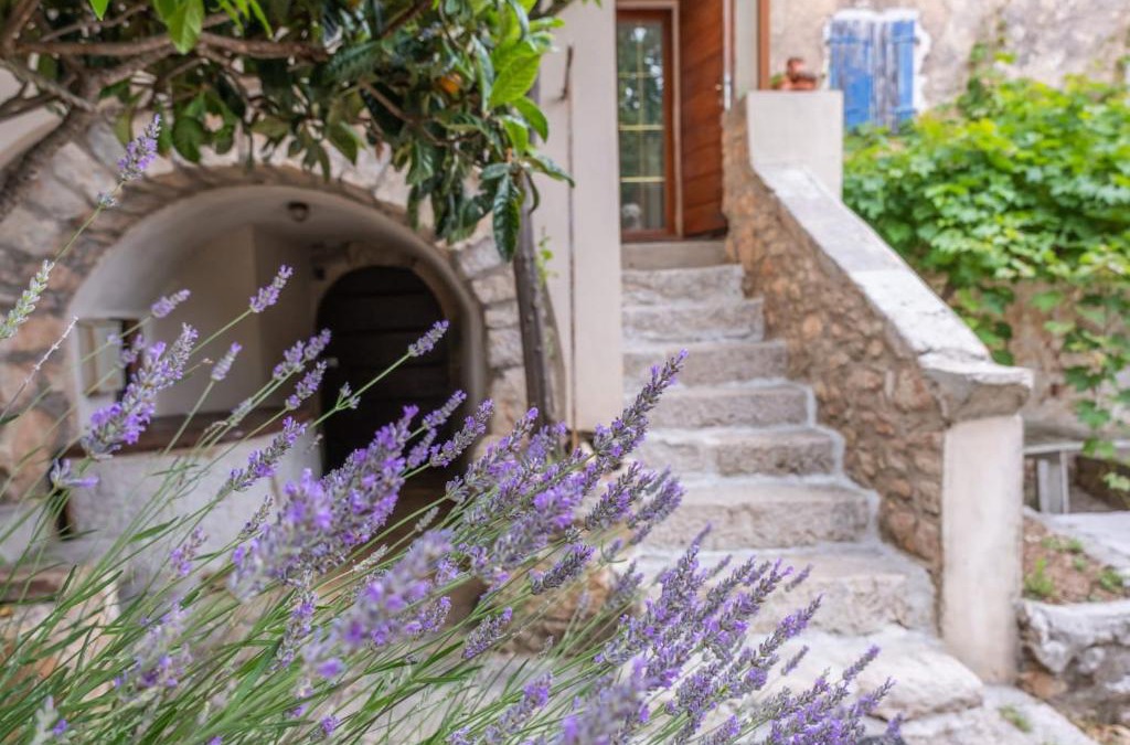 Nerezine Villa | Casa Angelo