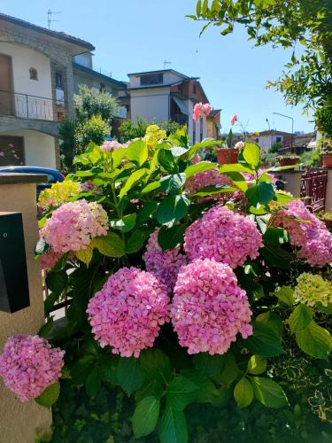 Montevarchi Apartment | Casa ANNA
