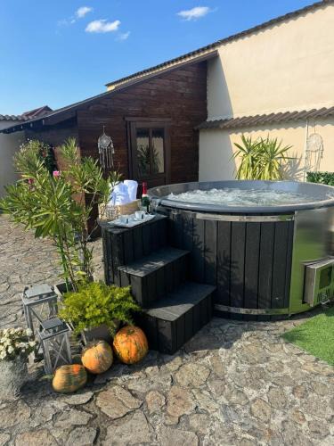 Sura Mica House | Casa Antonia Homestay