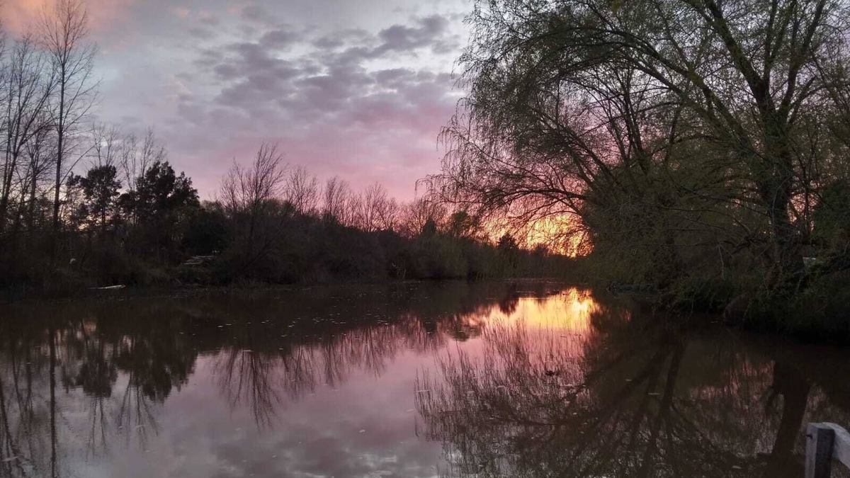 Tigre Cottage | 🏡🌊🌳🌺casa Rural en Medio de la Naturaleza. Paz y Río🚤🌅🛶🌿🌲📸