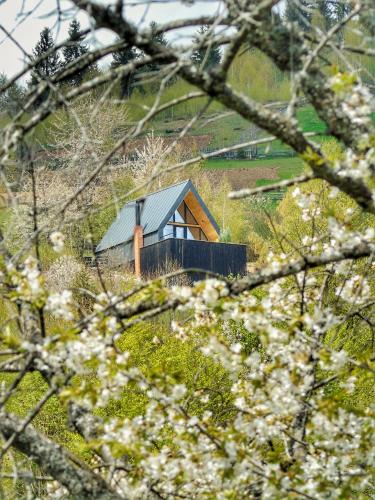 Horea Ski Chalet | Casa Aristocrată - La noi la munte