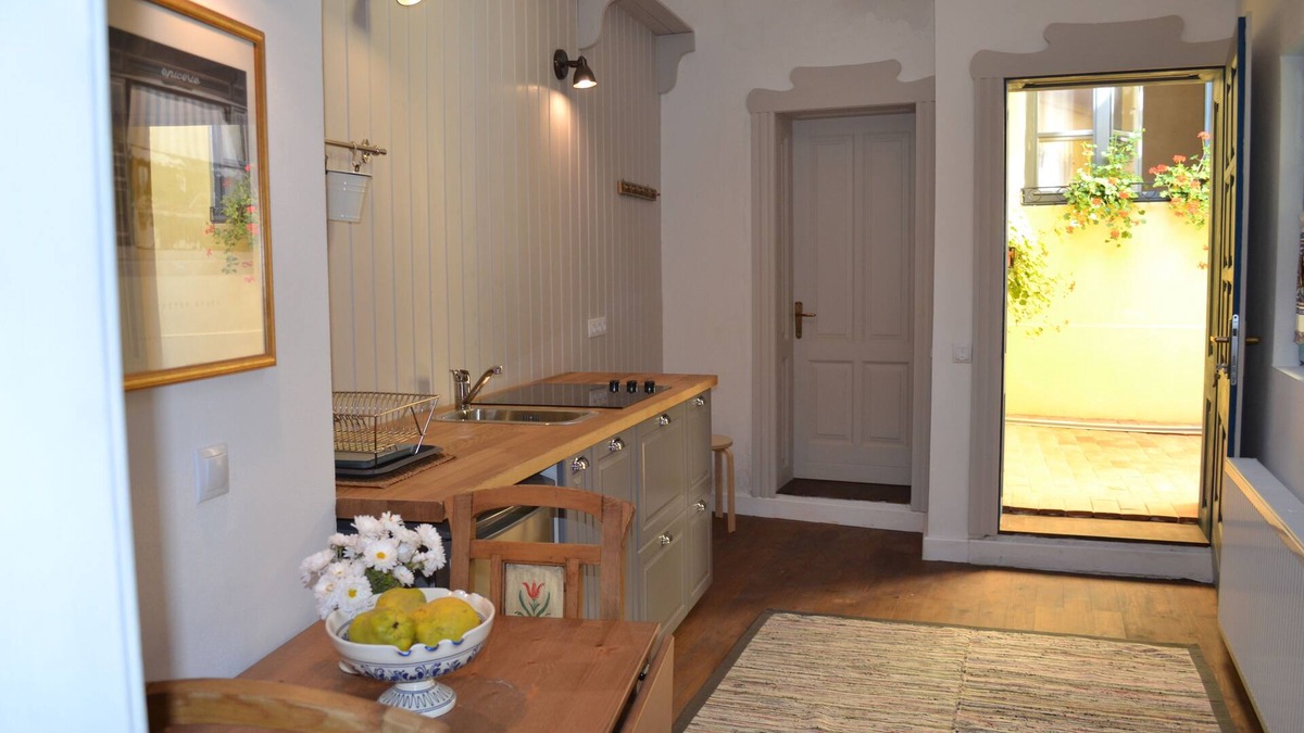 Sighisoara House | Casa Augustus (One-large bedroom apartment)