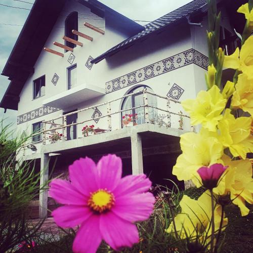 Ciocanesti House | Casa Aureliana