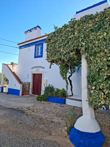 Borba House | Casa Azenha das Freiras