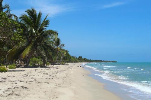 Rincon Bed & Breakfast | Casa Bambudas
