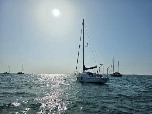Faro Boat Rental | Casa barco liberdade