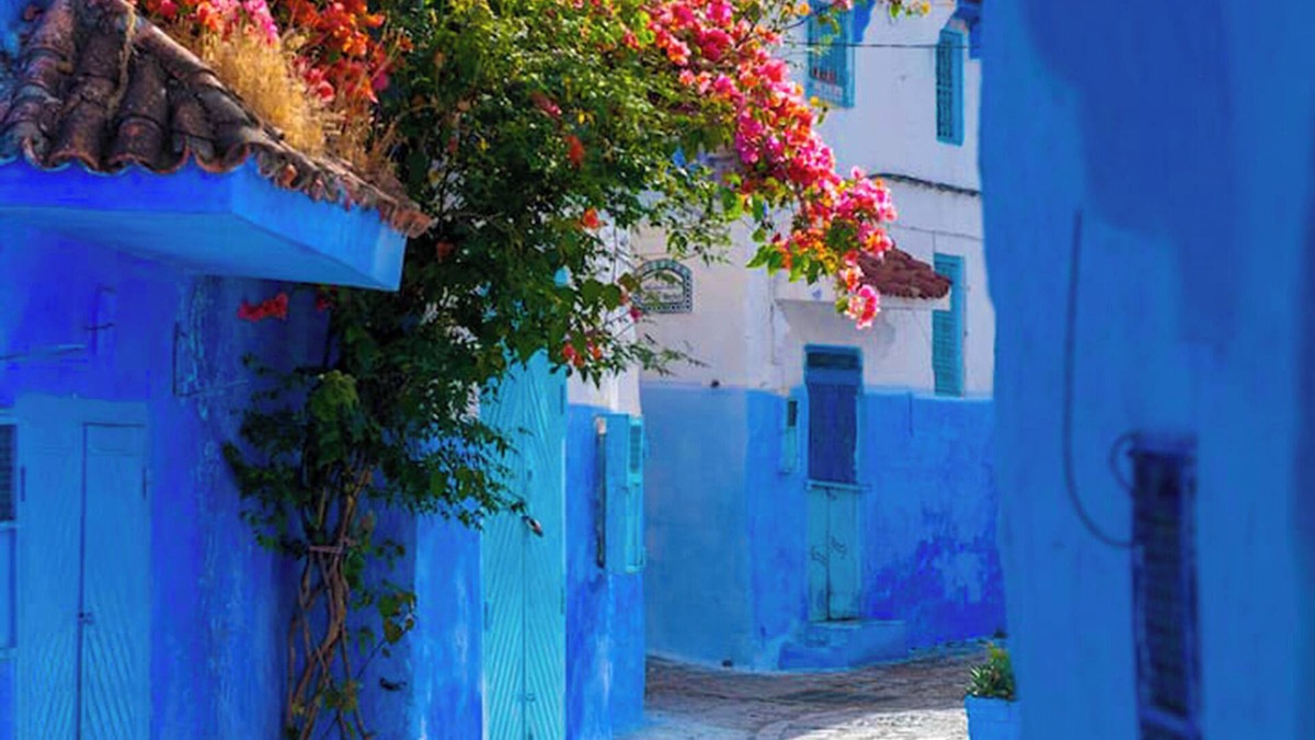 Chefchaouen House | Casa Barhoun