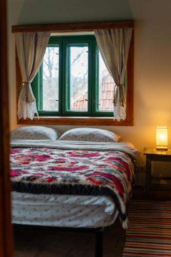 Suncuius House | Casa Batrana