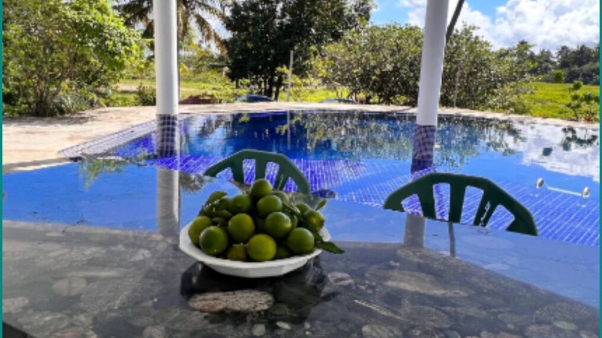 Barra do Sirinhaem House | Casa Beira-mar, Litoral Pernambucano, com Piscina