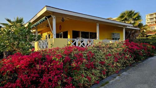 Willemstad Apartment | casa bella vista