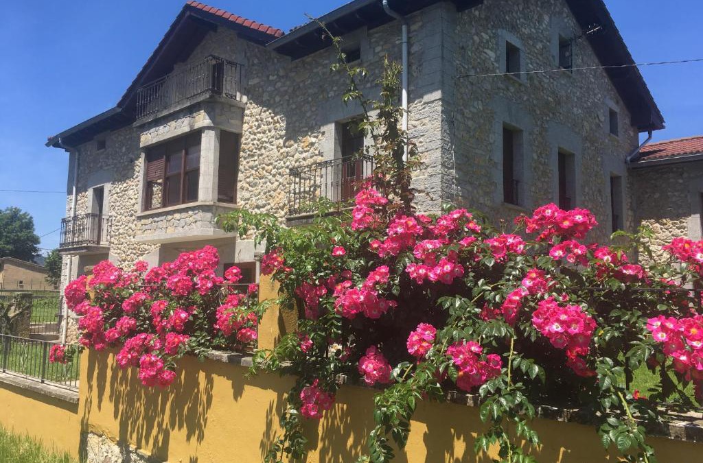 Lezana de Mena House | Casa BellaTerra