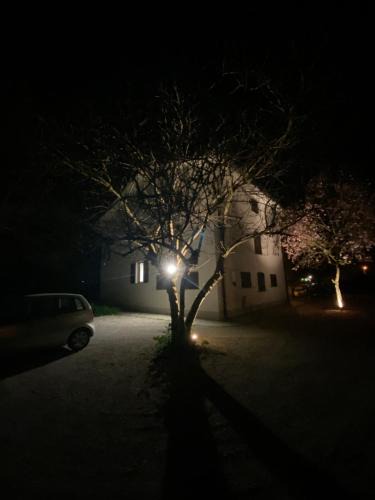 Novi di Modena House | Casa Bellodi