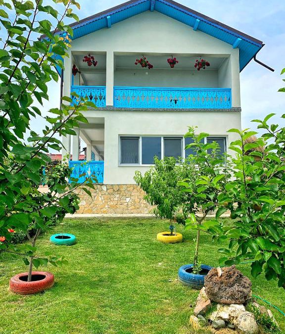 Sarichioi House | Casa Beluga