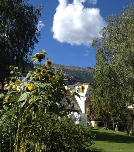 Sasso Apartment | Casa Betulla