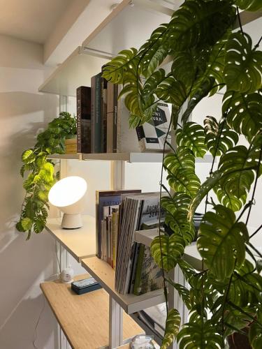Citta Alta House | CASA BIA