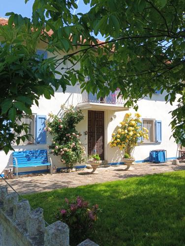 Niella Belbo House | Casa Bianca Azzurra con piscina
