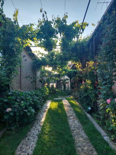 Sinca Veche House | Casa Bucium
