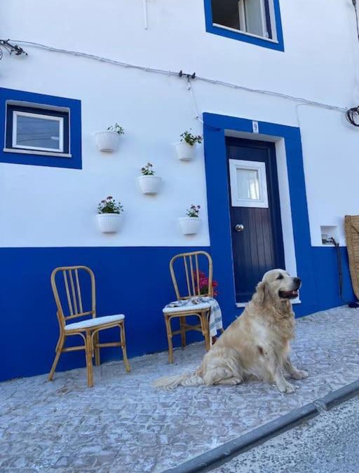 Alcacer do Sal House | Casa Buganvilla