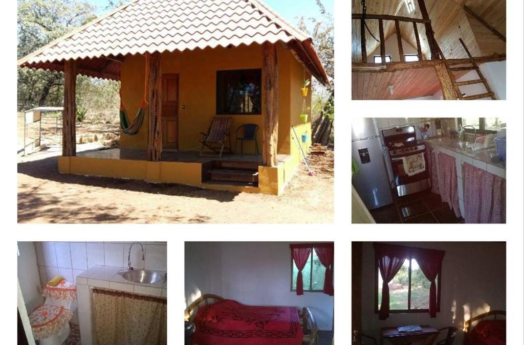 Paraiso Apartment | Casa bungalow Ital-Tico