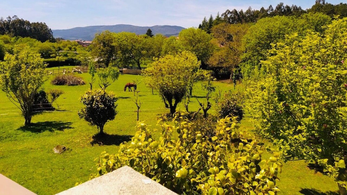 A Caniza Villa | Casa Cañiza (319), large farm with natural pool