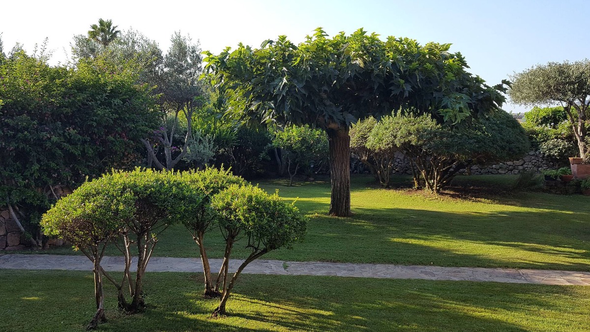 Porto Taverna House | Casa Camelie big gardened apartment 2 min. walk from the beach, internet Wi-Fi