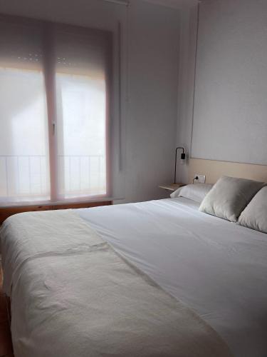 Mora d'Ebre House | Casa Cardona