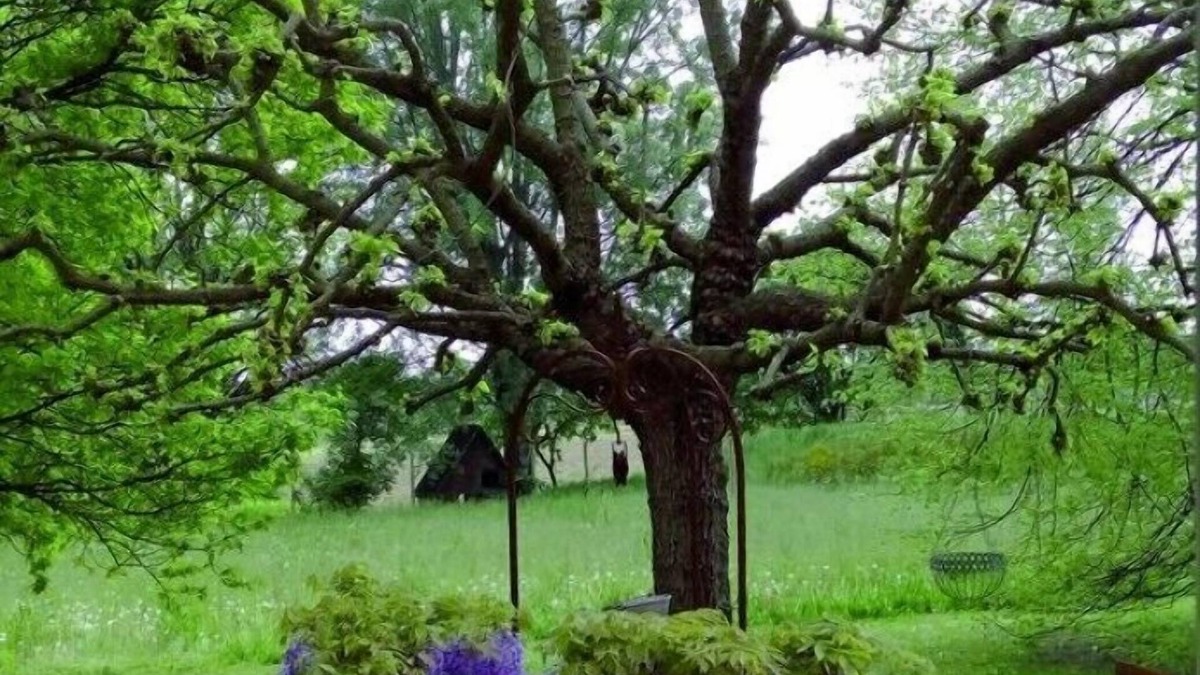 San Giovanni di Livenza Bed & Breakfast | Casa Carrer B&B