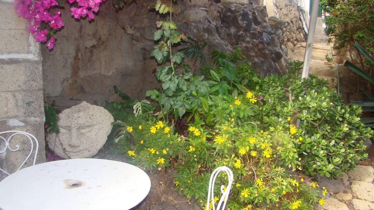 Aldea Blanca Cottage | Casa Casilda, Bed and Breakfast in the south of Tenerife