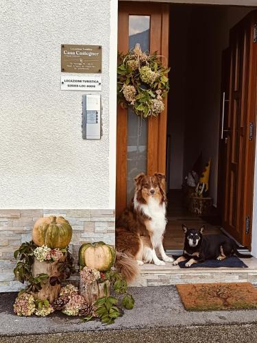 Seren del Grappa House | Casa Castegner - Rooms