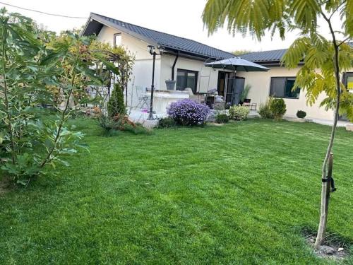 Husi House | Casa Castroian