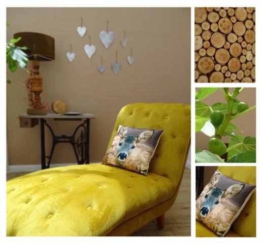 Guldental Apartment | Casa-Catalina