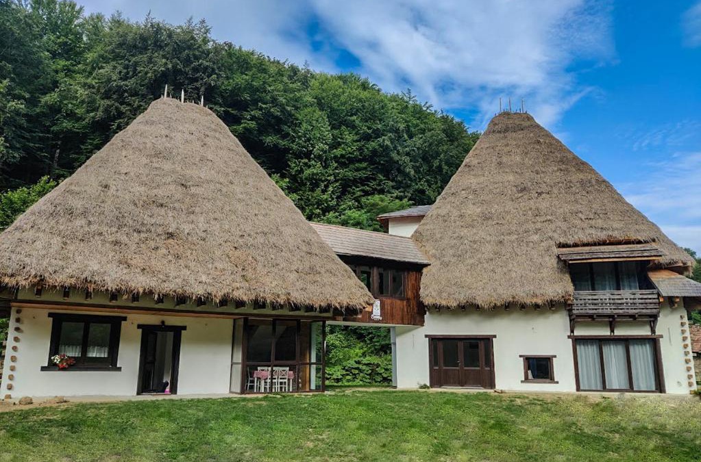 Cristolt House | Casa Catrinei