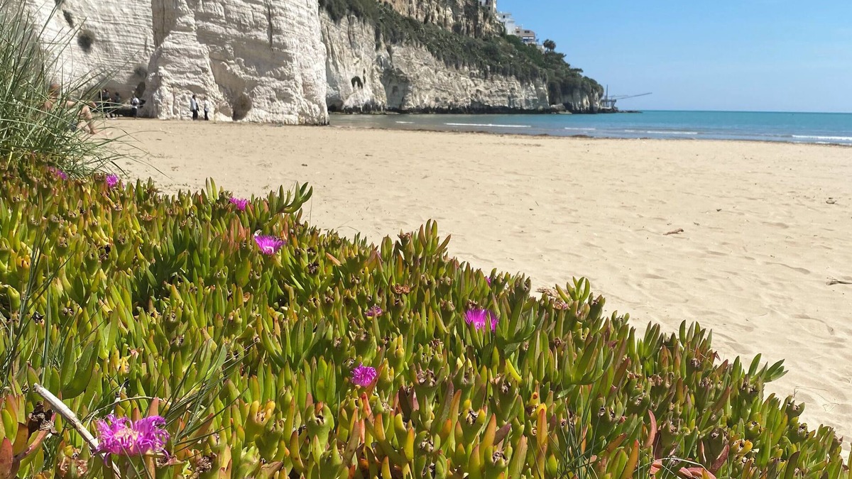 Vieste House | Casa Chicchella