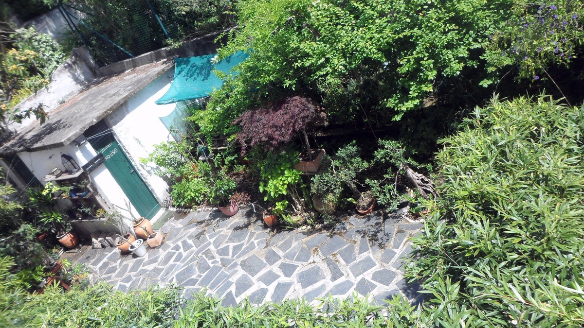 Santo Antonio dos Olivais House | Casa Coimbra Guesthouse & Garden