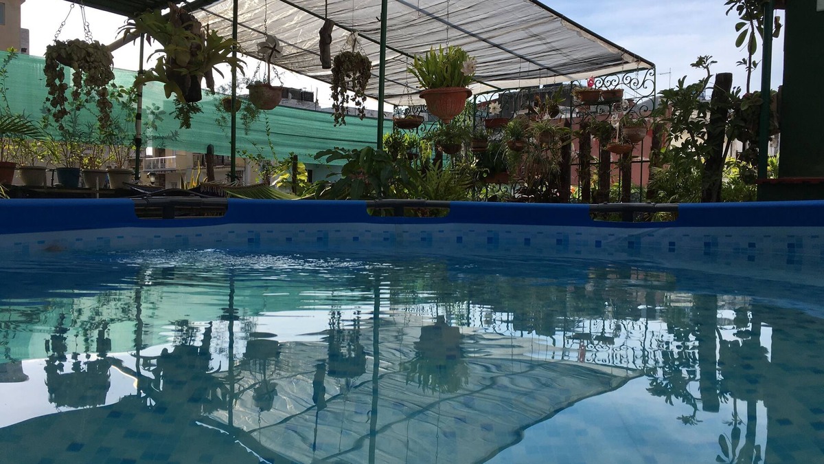 Centro Havana Bed & Breakfast | Casa Colonial Armando