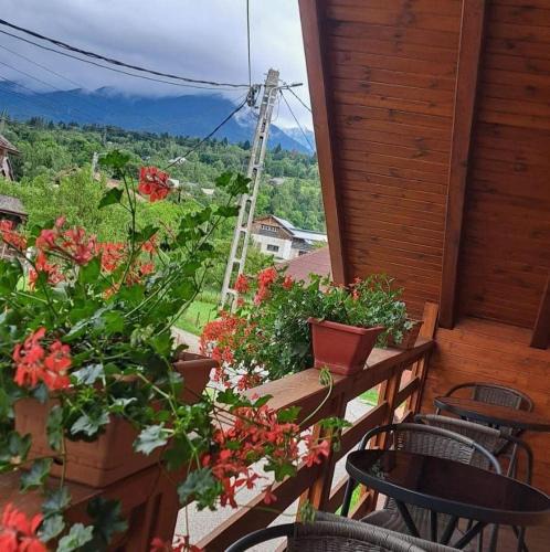Moisei Villa | Casa Cristiana Moisei