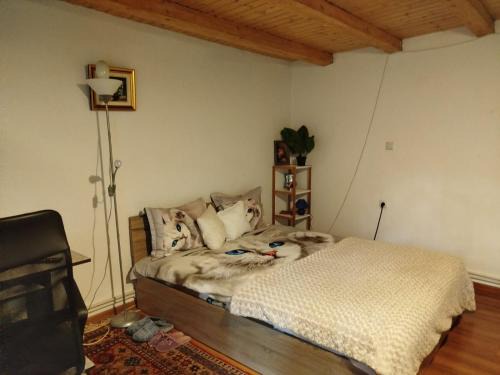 Bacau Ski Chalet | Casa cu amintiri