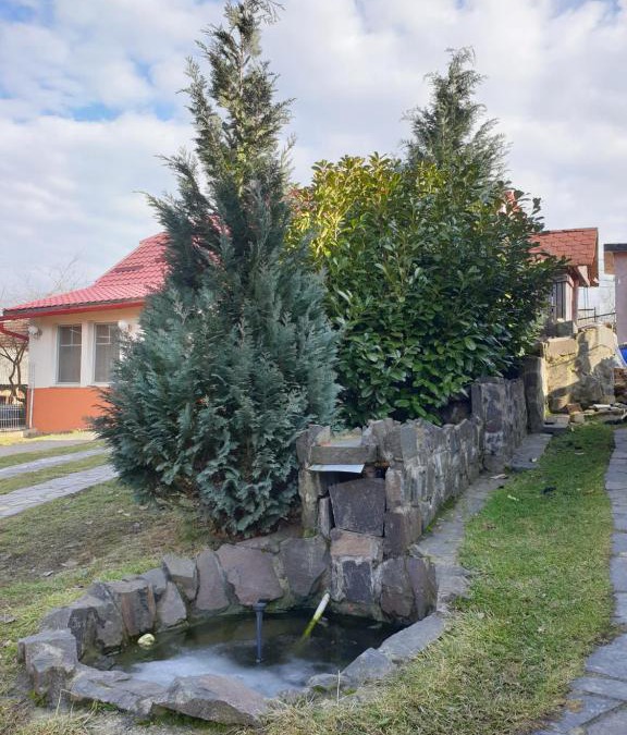 Pomi House | Casa cu fantana