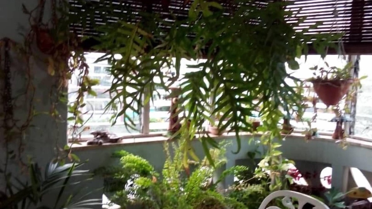 Puerto de Boniato House | Casa Cueva