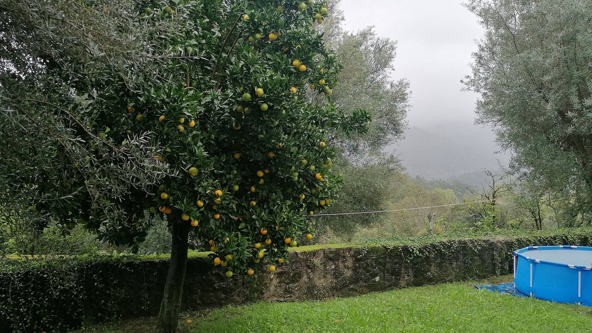 Bouro House | CASA DA ADEGA nInserida em pequena aldeia pacata em terras de Bouro, GERÊS
