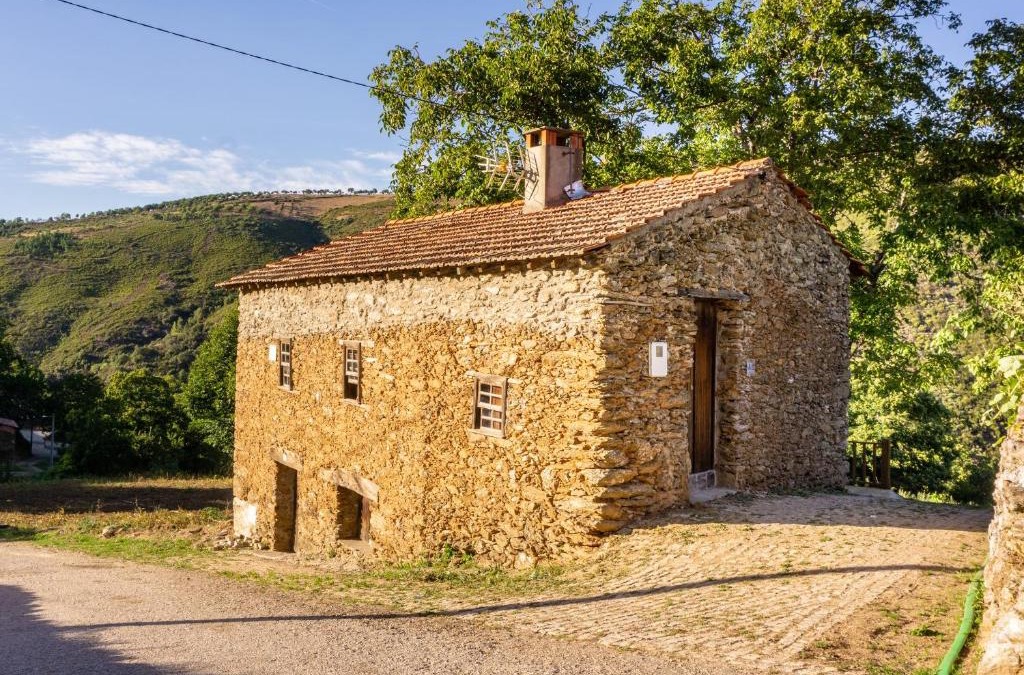 Negreda House | Casa da Corriça - Alojamento Local