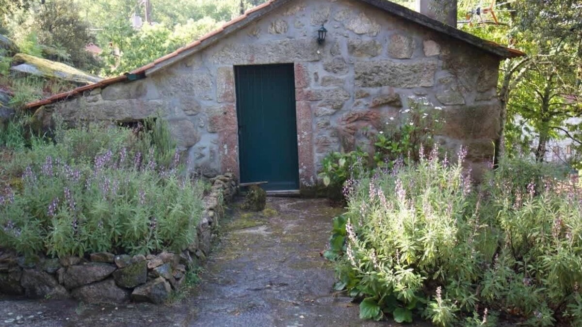 Agueda House | Casa da Eira - into the nature