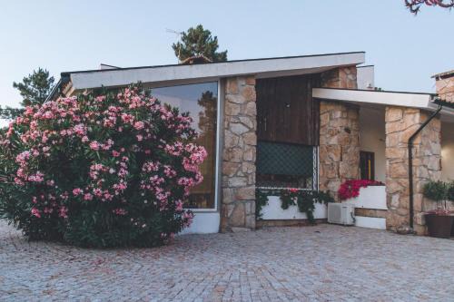 Tabuaco Villa | Casa da Ni - Douro