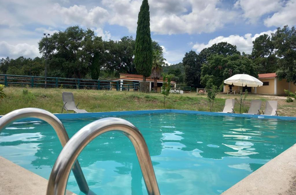Fundao House | Casa da Vinha