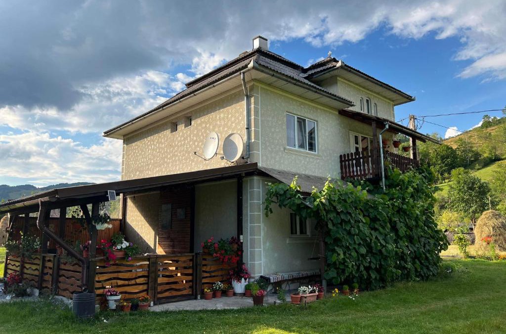 Vidra House | Casa Danut