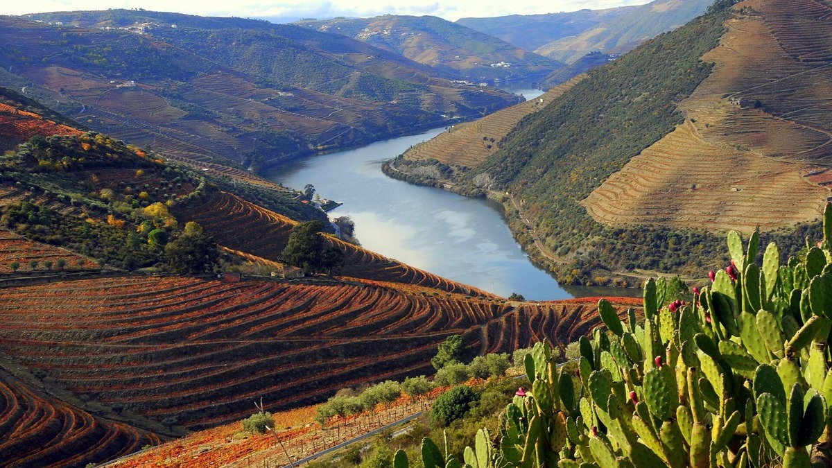 Sabrosa Villa | Casa das Flores, large villa with swimming pool in the Douro Valley