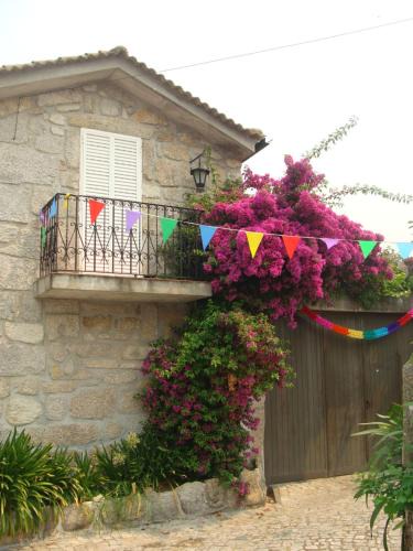 Queira House | Casa das Magnólias de Igarei