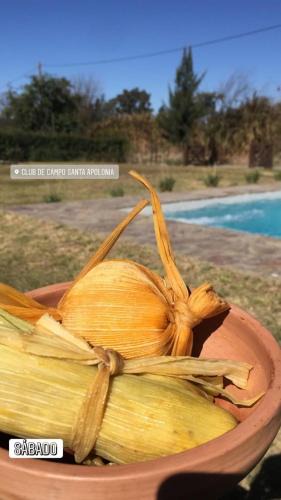 La Merced House | CASA DE CAMPO barrio privado Salta