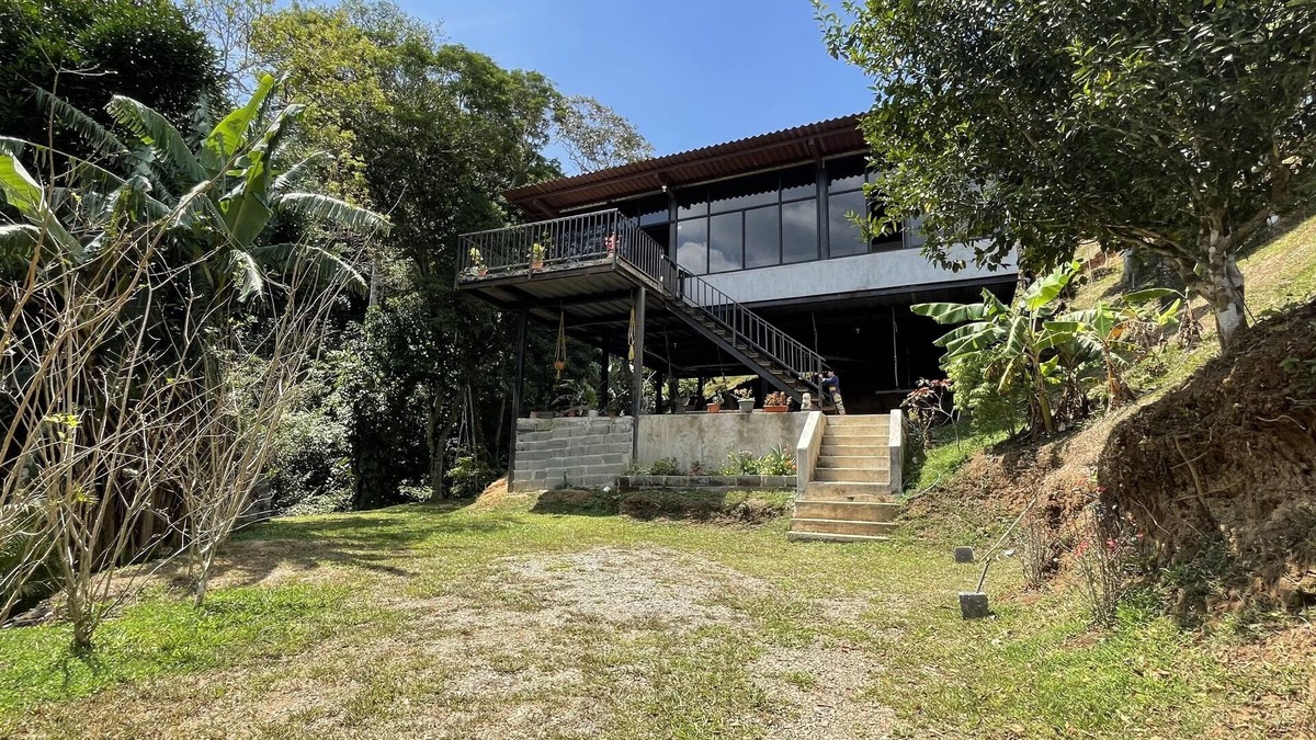 El Palmar Cabin | Casa de Campo en Chica - Panama Rainforest