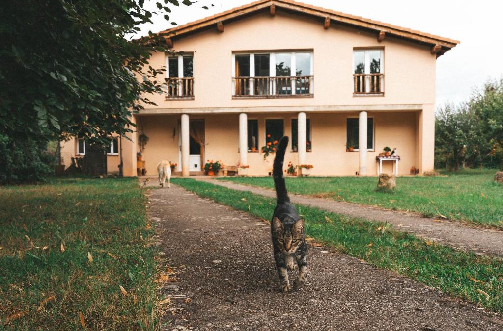 Estollo House | Casa de Campo La Solana
